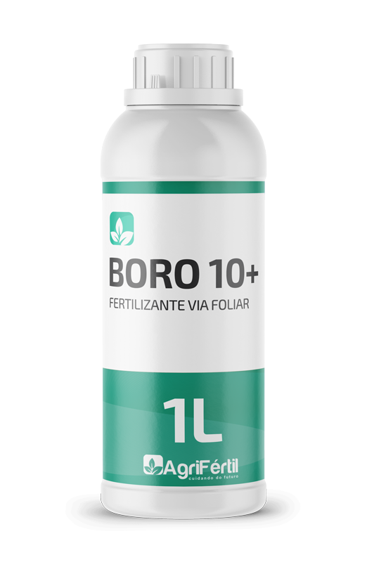 Completo 1L