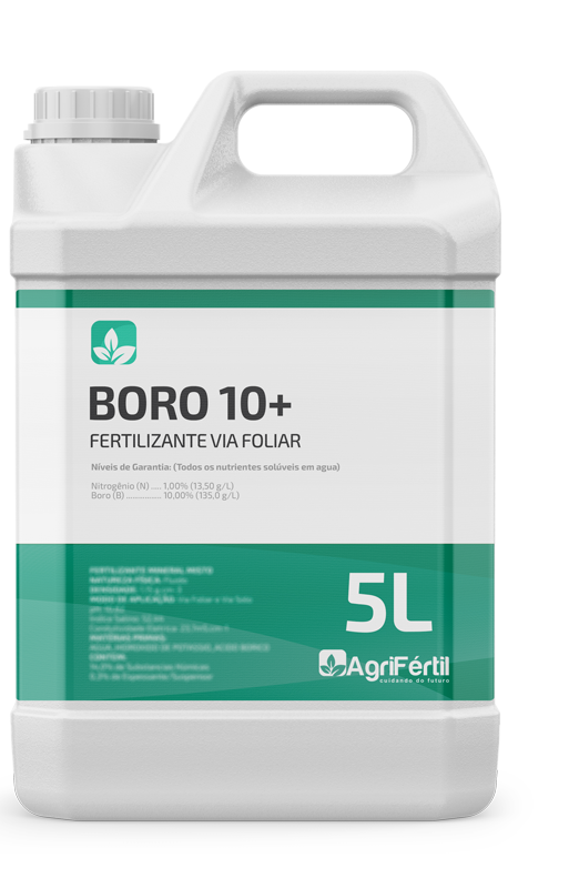 Completo 5L
