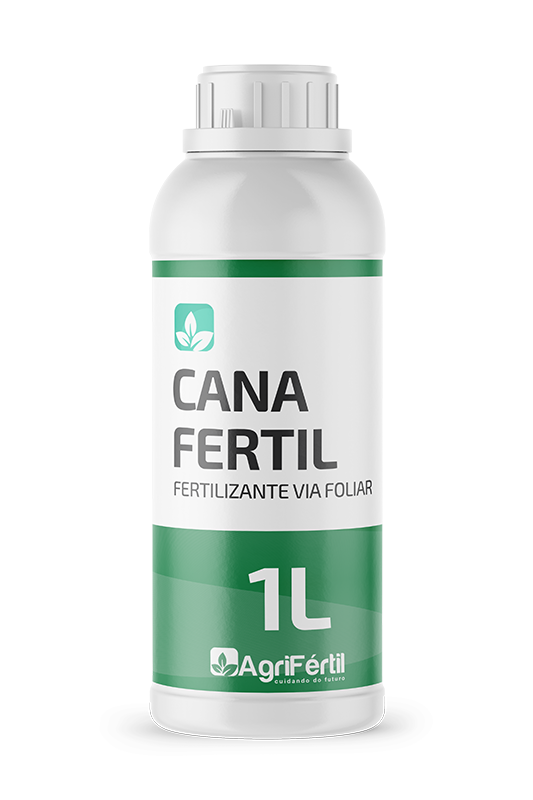 Completo 1L
