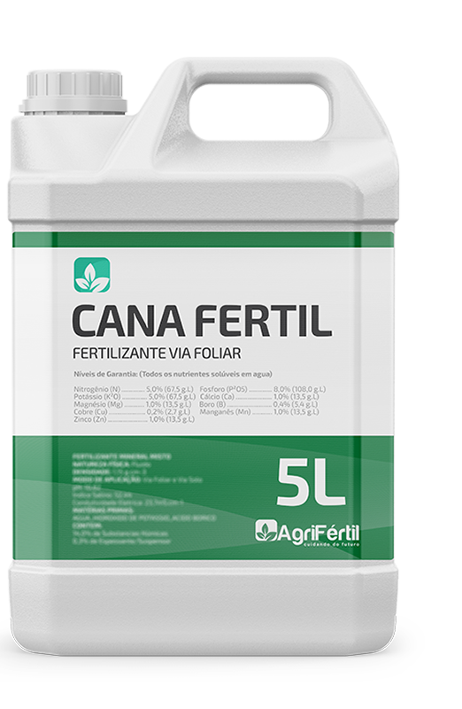 Completo 5L